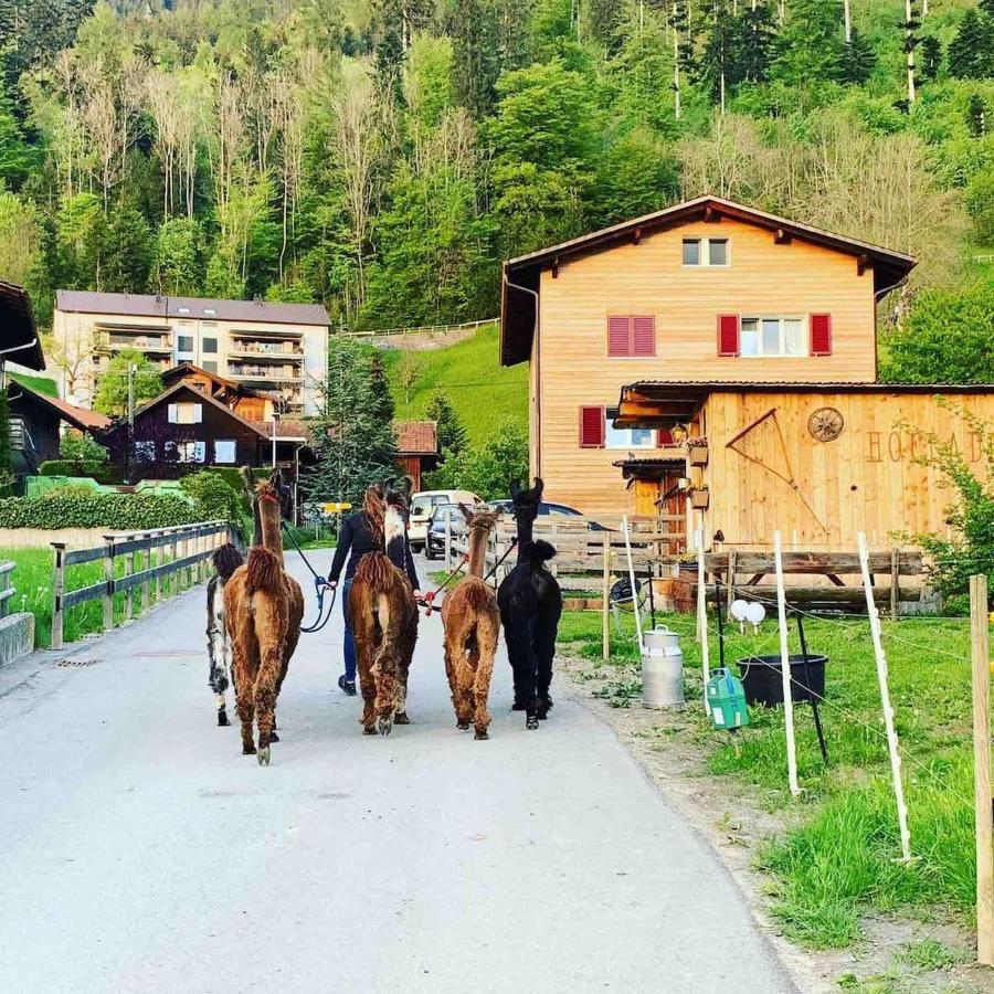 Hotel Jurte Beim Lama- & Alpakahof Triesenberg Exteriér fotografie